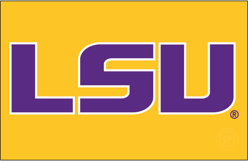 LSU Tigers 2014-Pres Alt on Dark Logo v2 diy DTF decal sticker